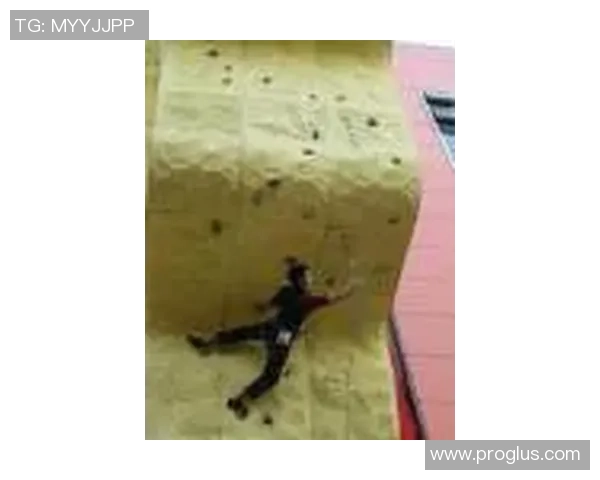 南京攀岩队区域防守体系的战术分析与实践探讨