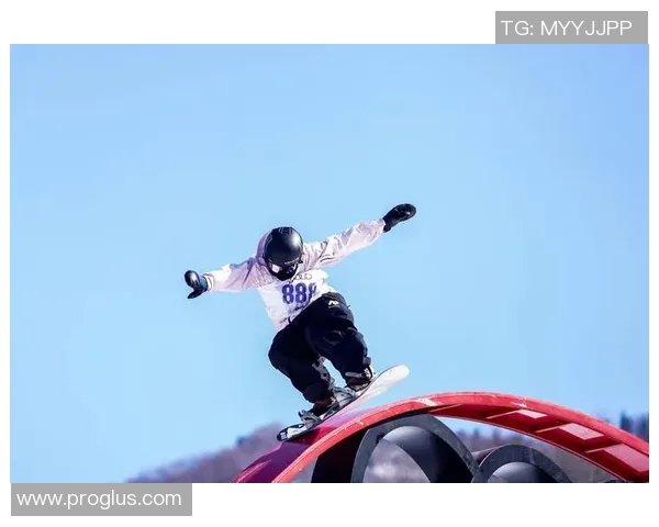 南京极限运动队心理素质表现分析与点评在极限运动会中的重要性探讨