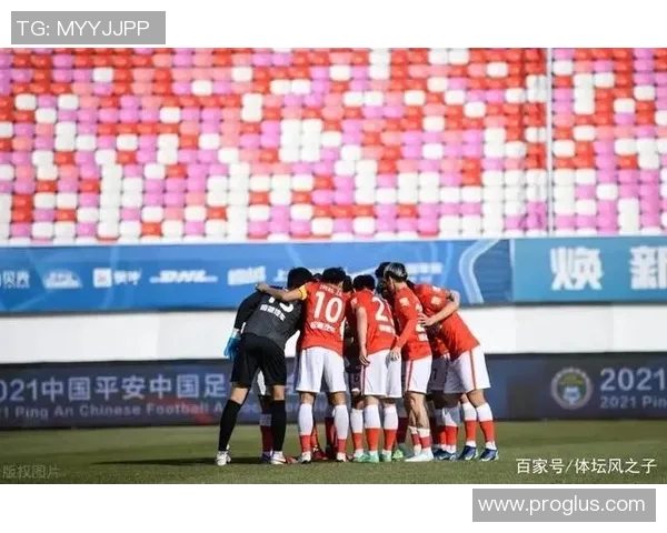 南京排球队实力大变革引发热议球迷期待新篇章