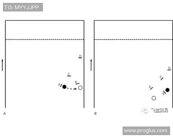 南京飞盘队控制打法深度解析与战术运用探讨 南京飞盘队控制打法深度解析与战术运用探讨